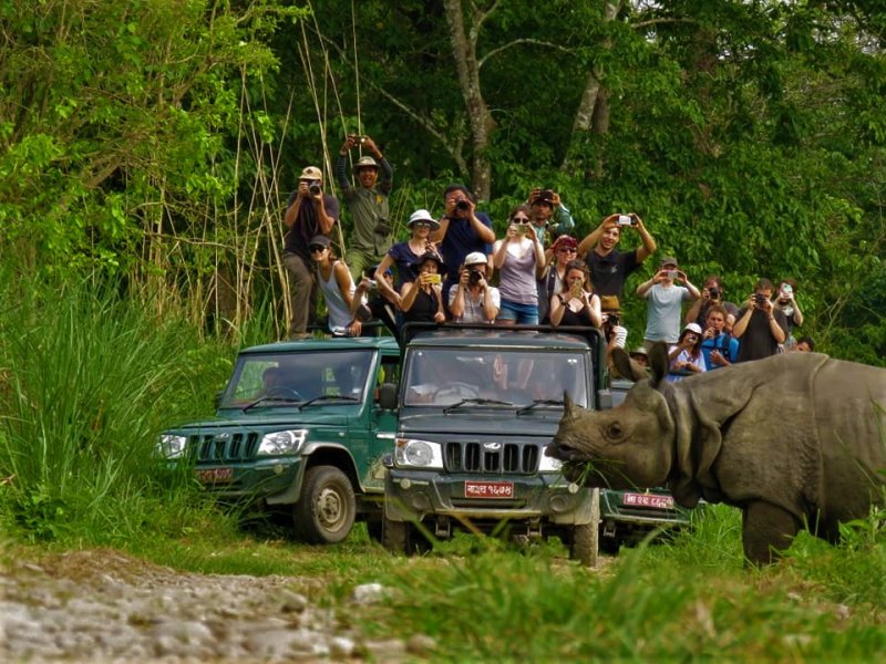 Amaltari, Nawalpur: Discover Nepal’s Hidden Blend of Wildlife, Culture and Riverside Beauty 9 som sapkota